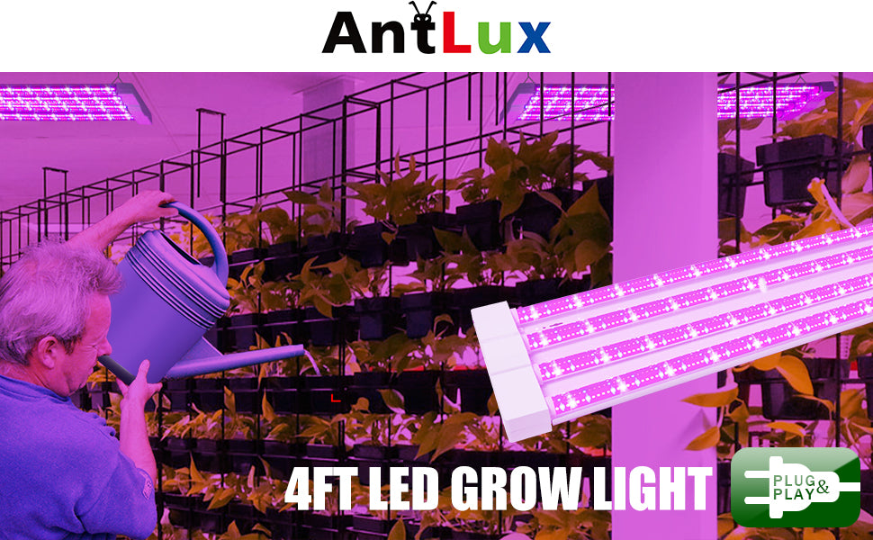 Best LED Grow Lights for Indoor Plant