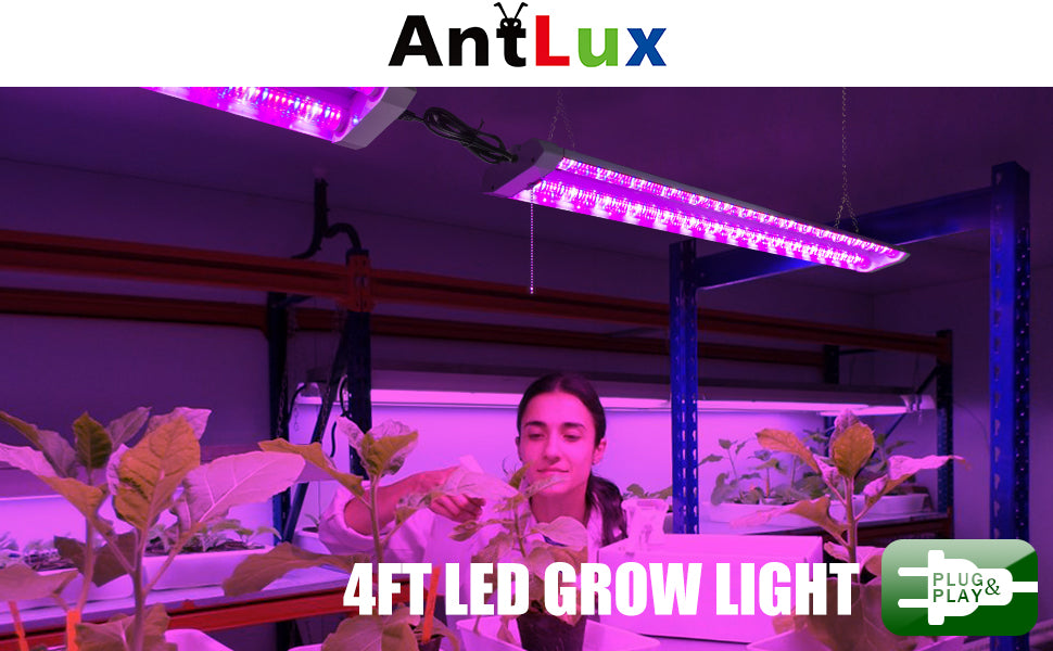 Which LED Light is Best for Plant Growth