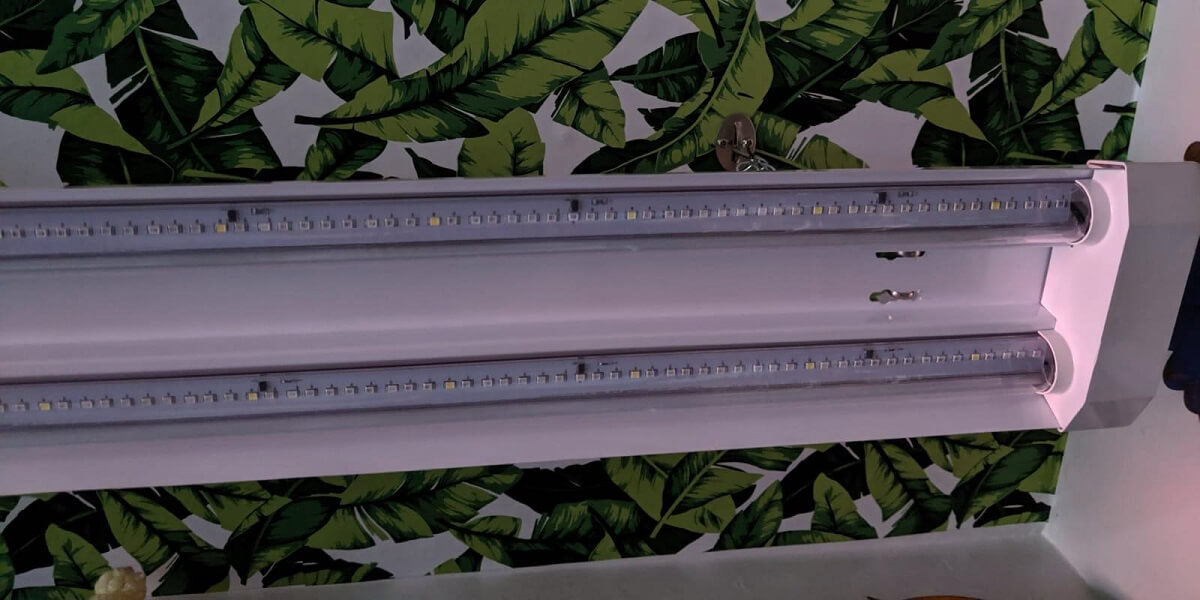 is green led light good for plants