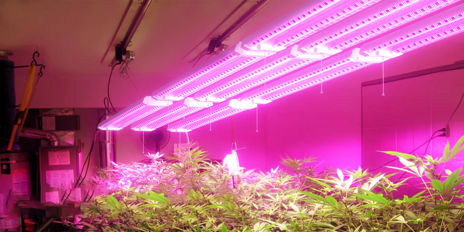 antlux led grow lights